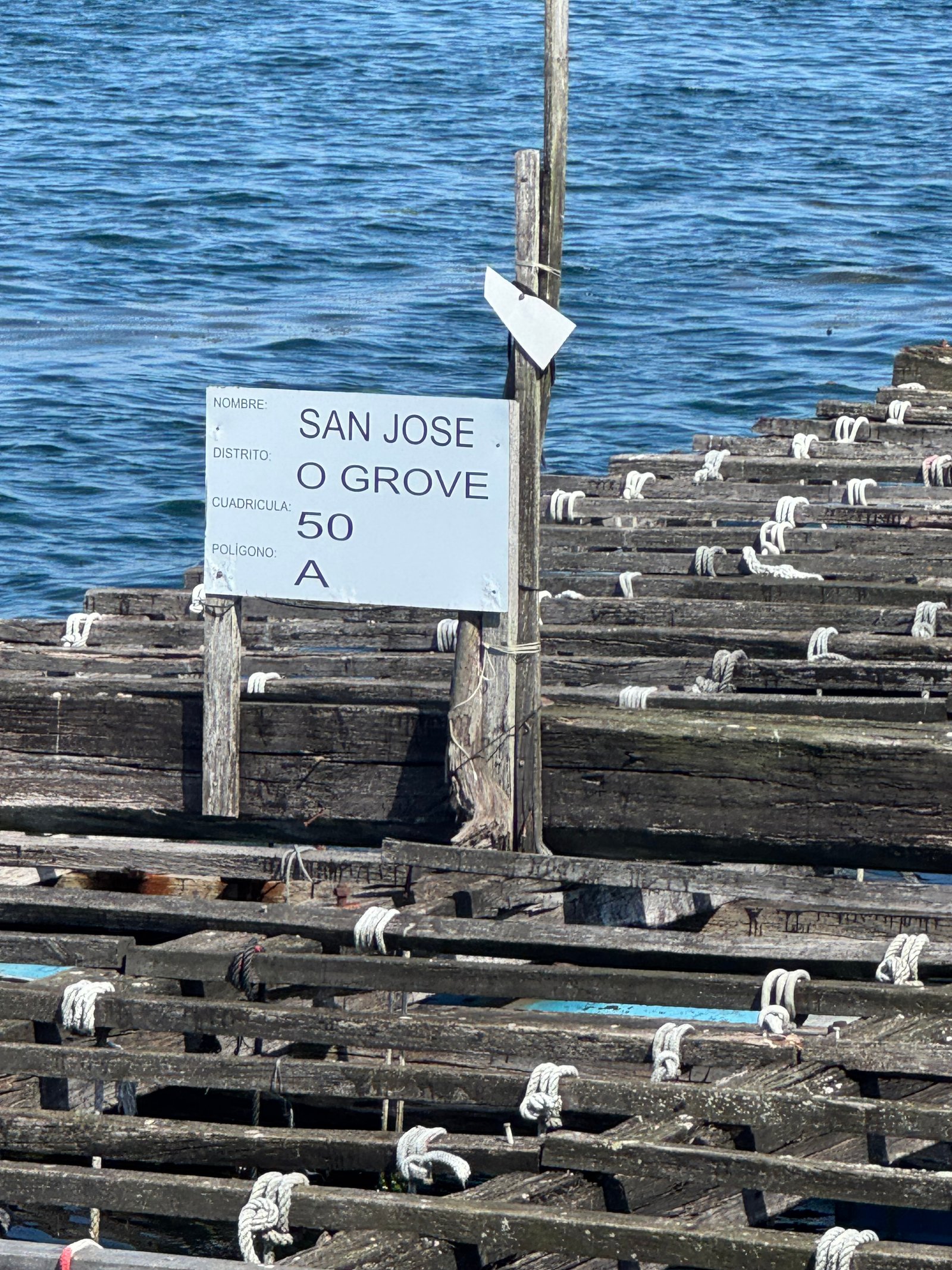 O Grove